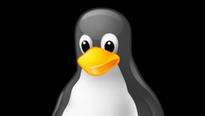Linux - Neortodoxní cesta